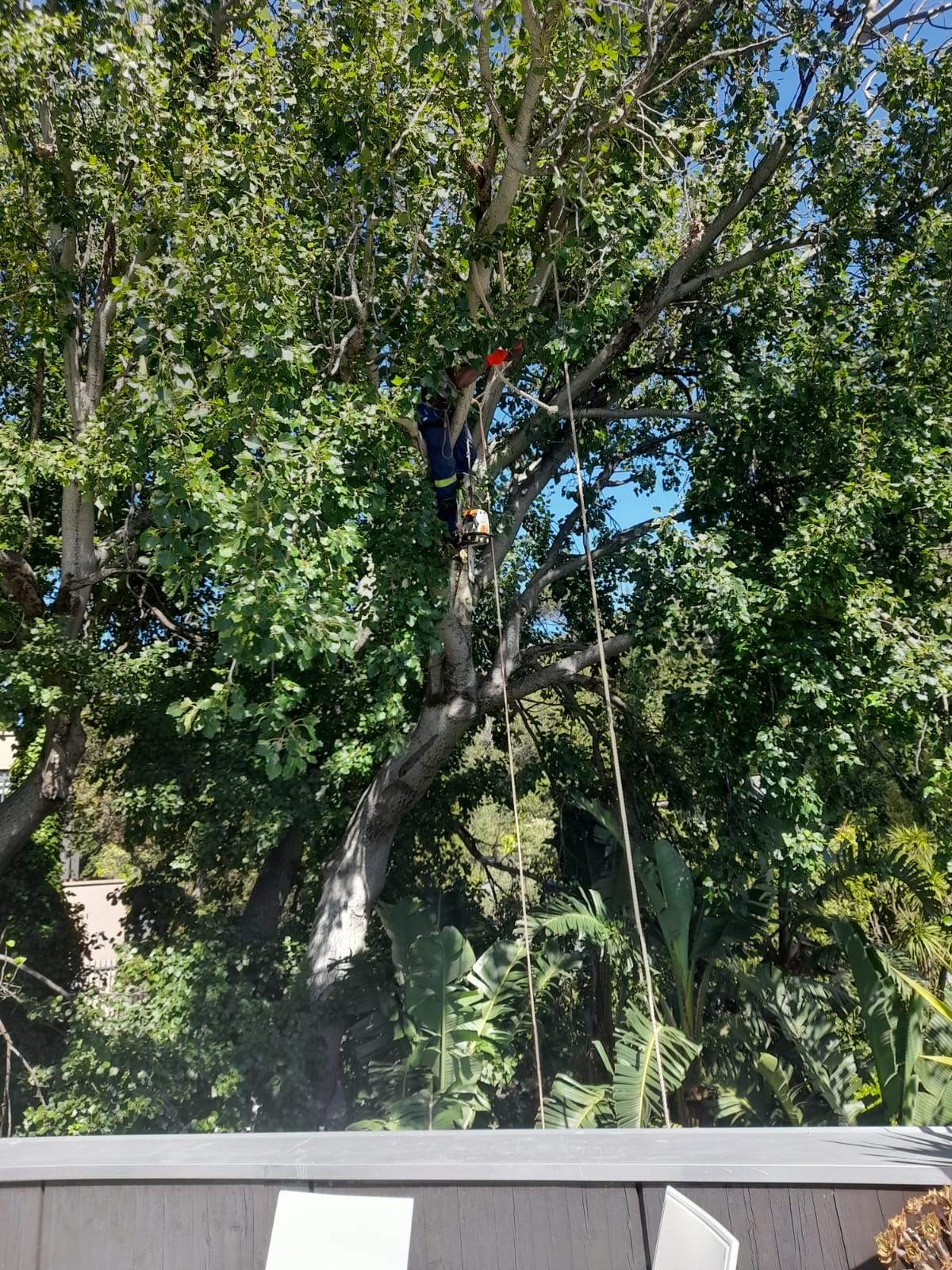 109