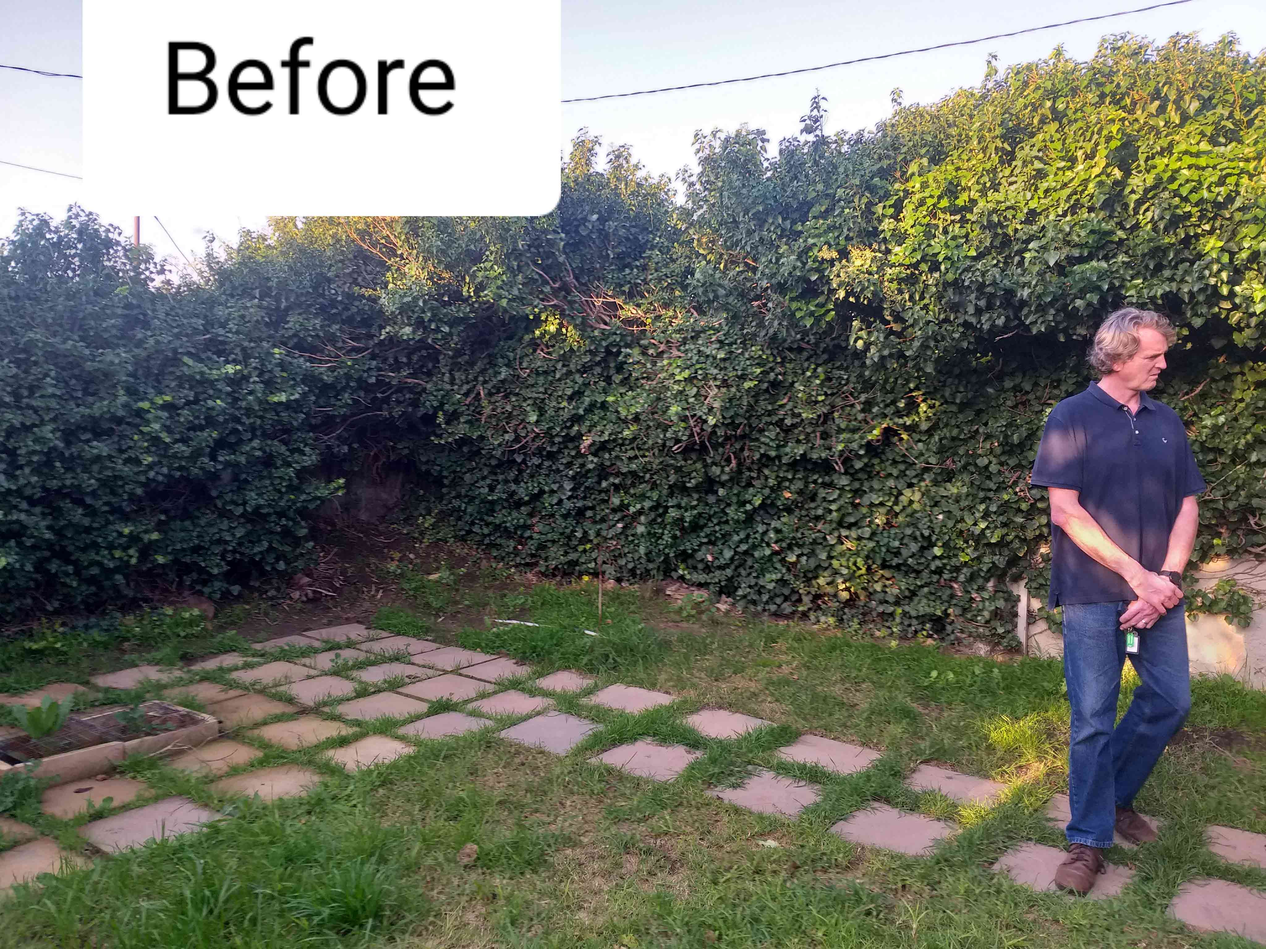 Before_After_010