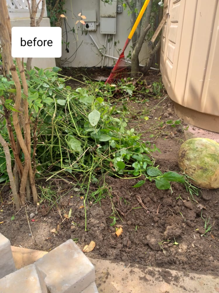 Before_After_012