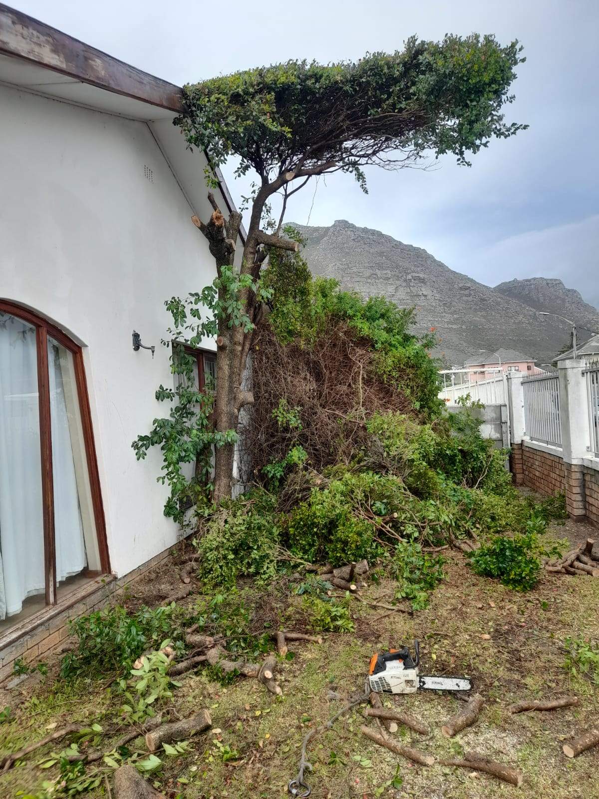 Before_After_014