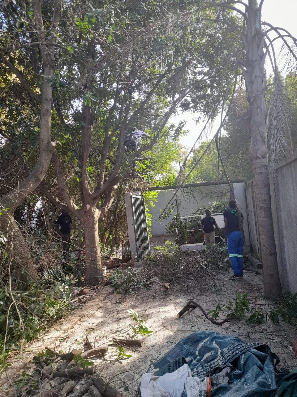 Clean_Up_102