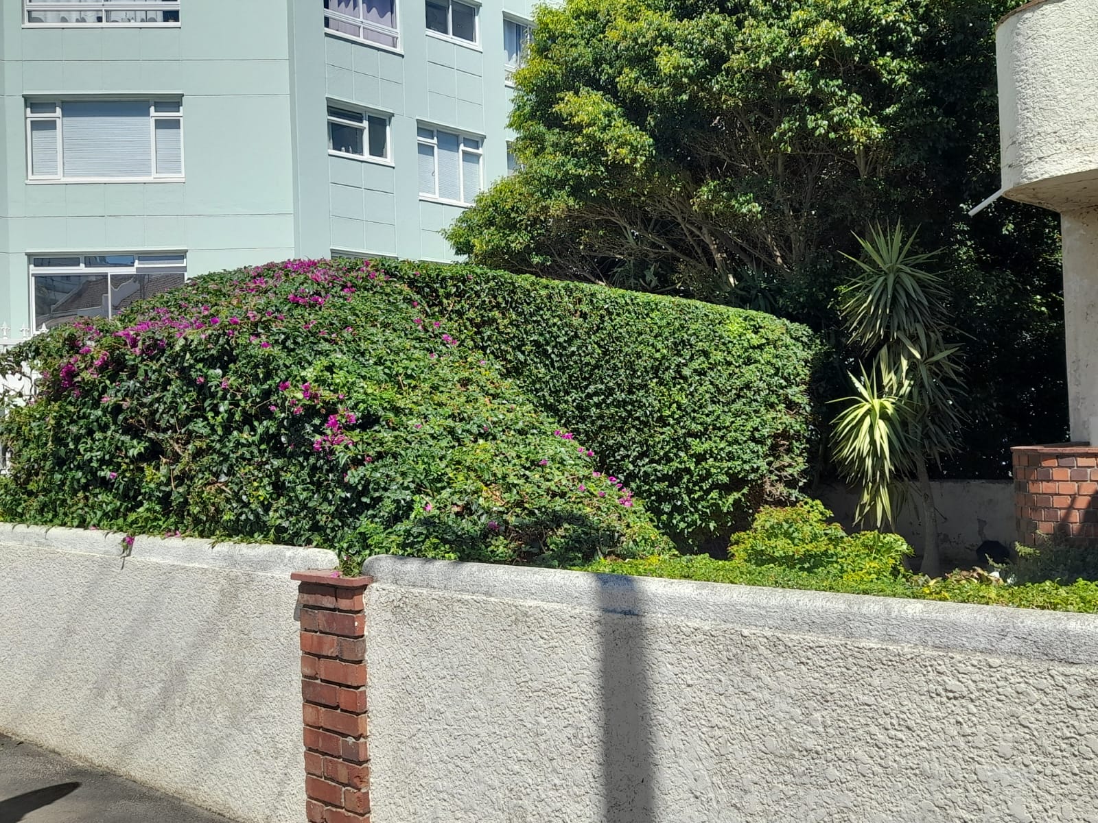 Hedges_017