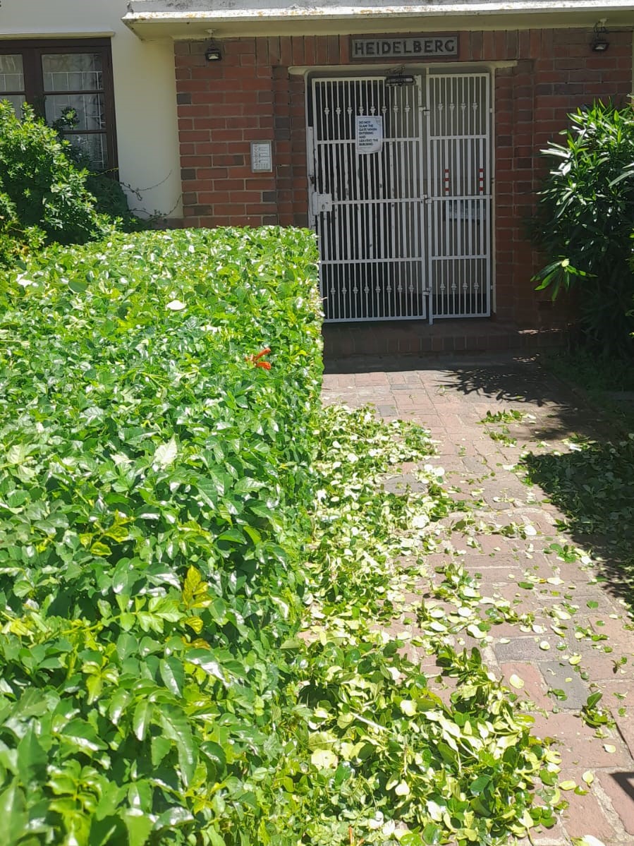 Hedges_019