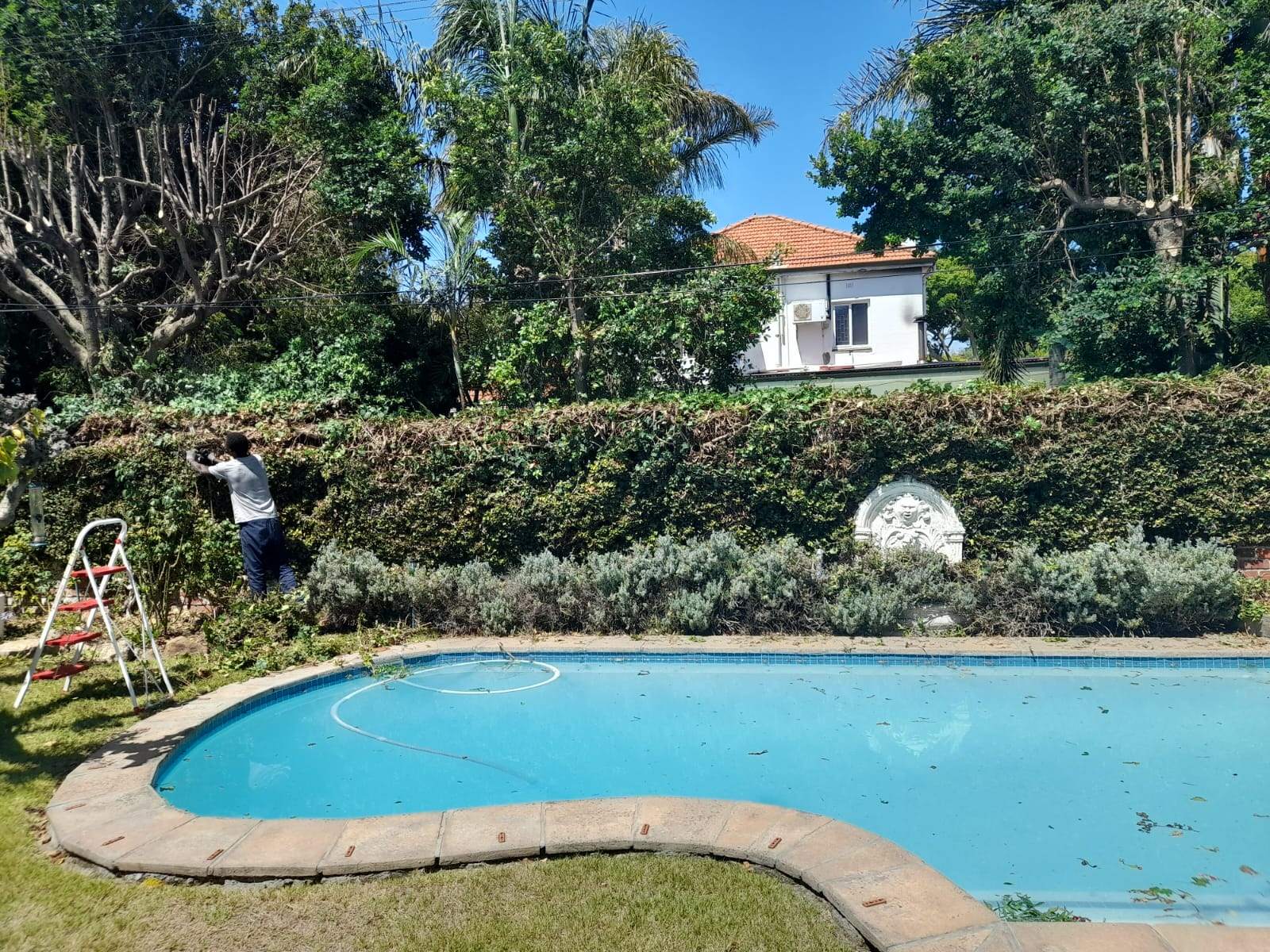 Hedges_035