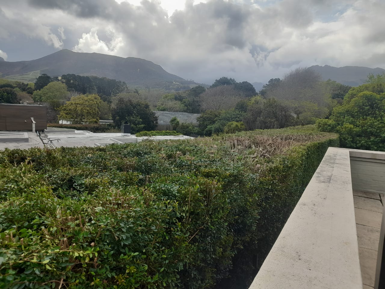 Hedges_039