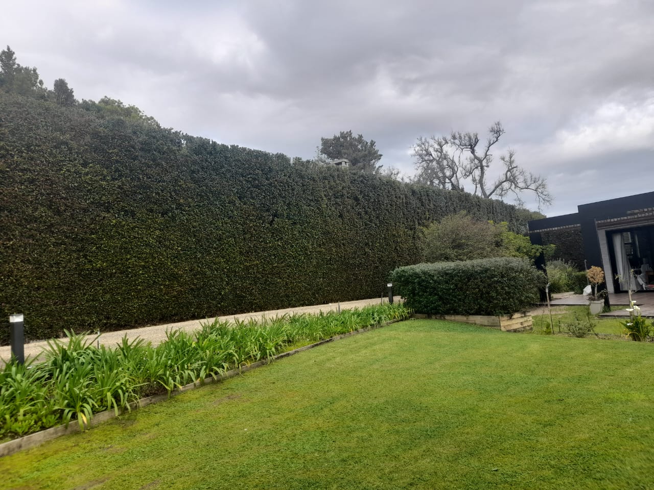 Hedges_040