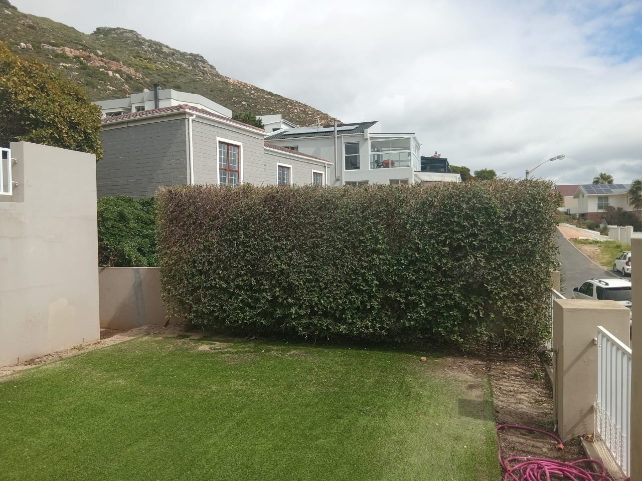 Hedges_043