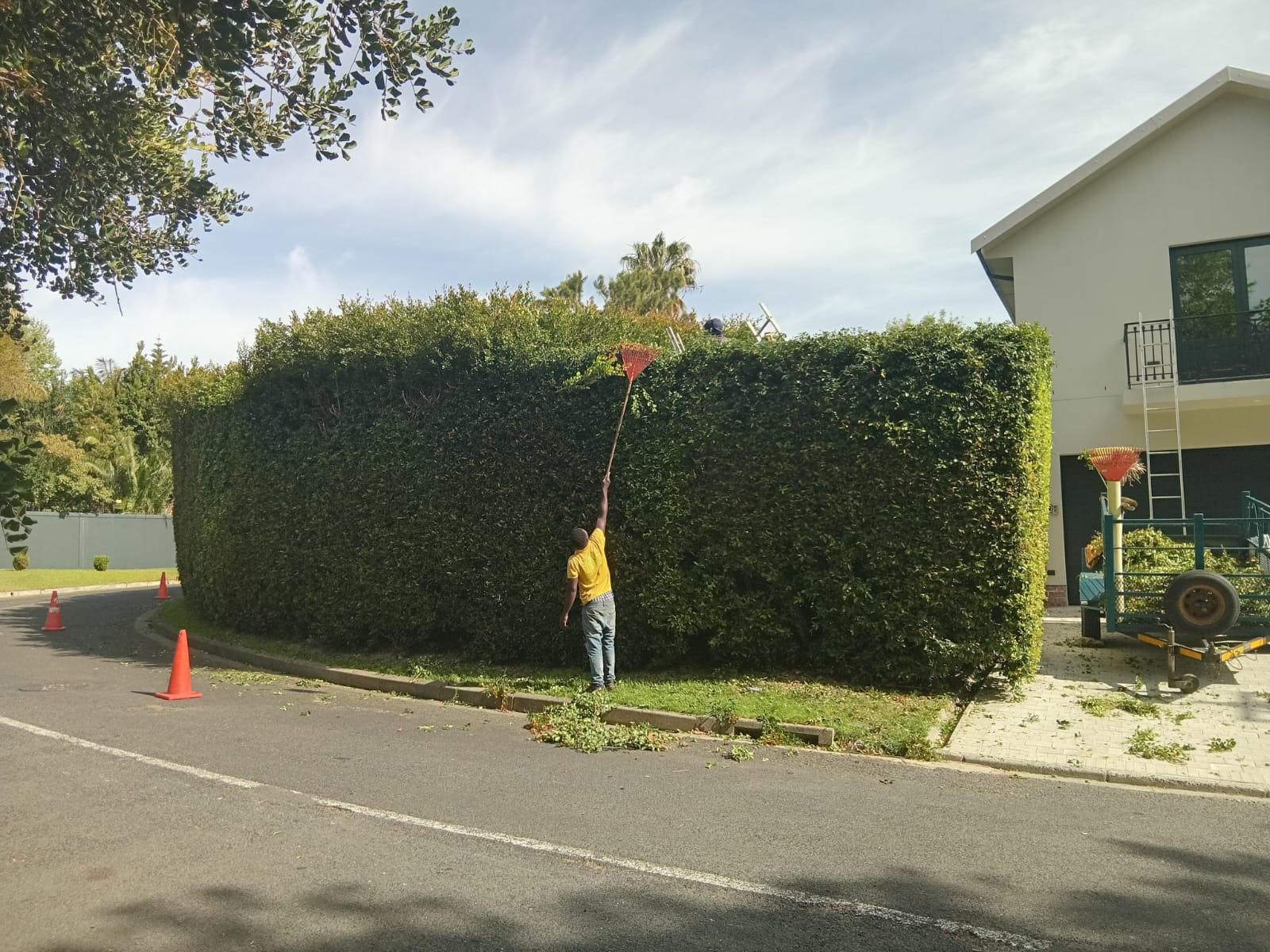 Hedges_046