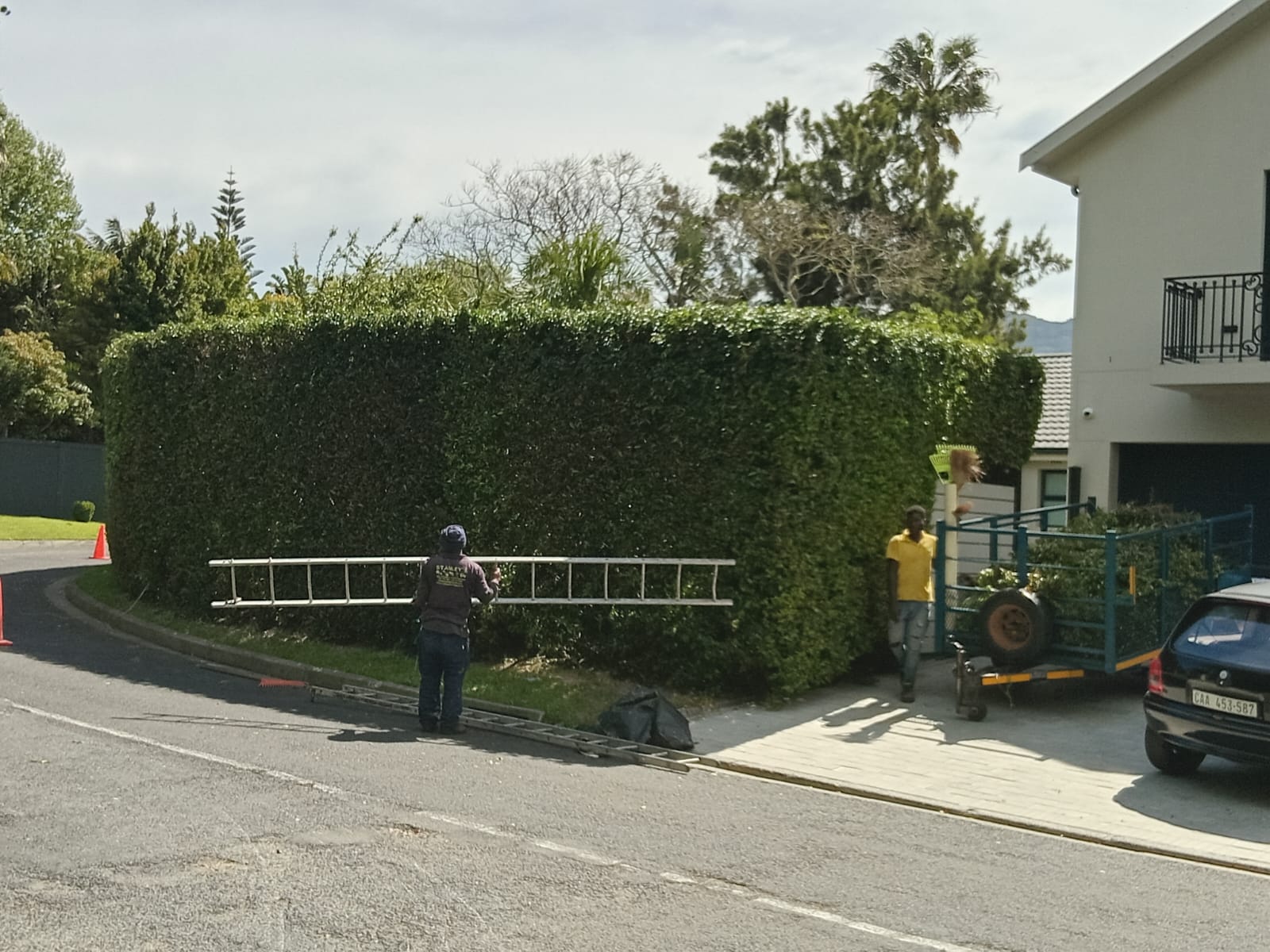 Hedges_050