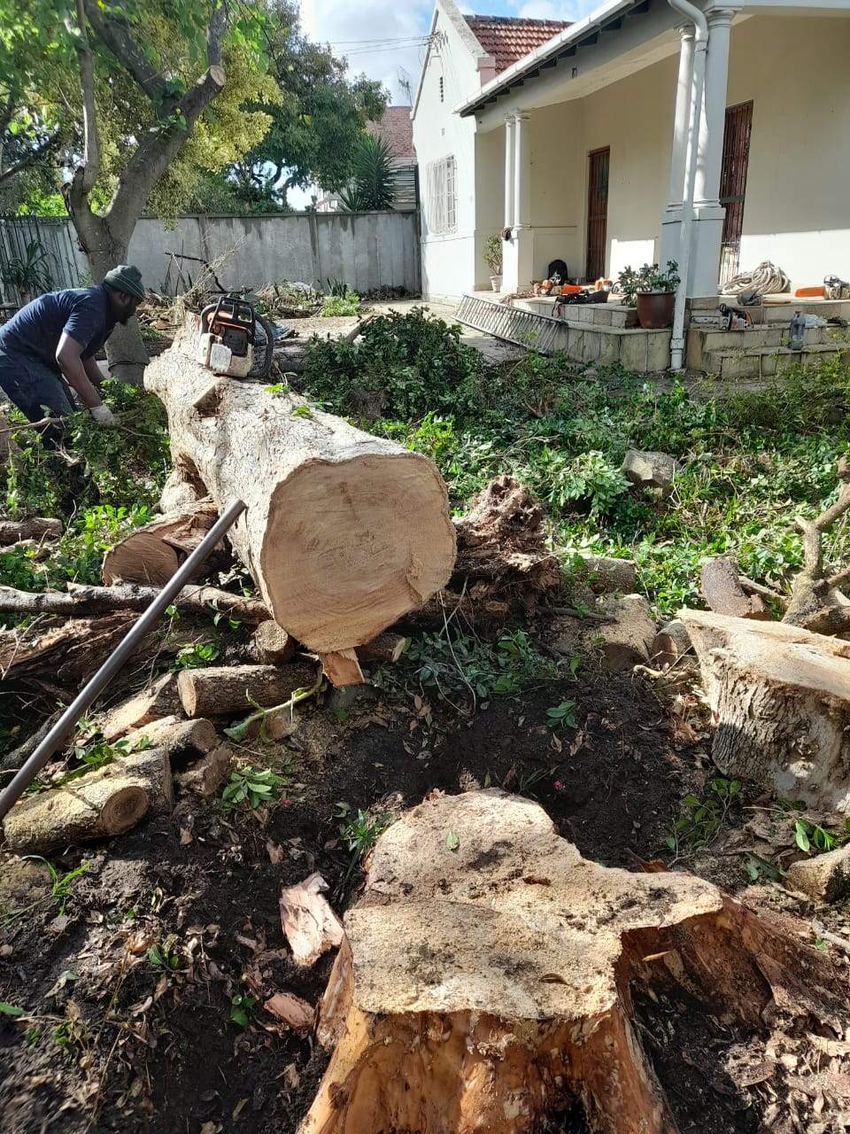 Stumps_116