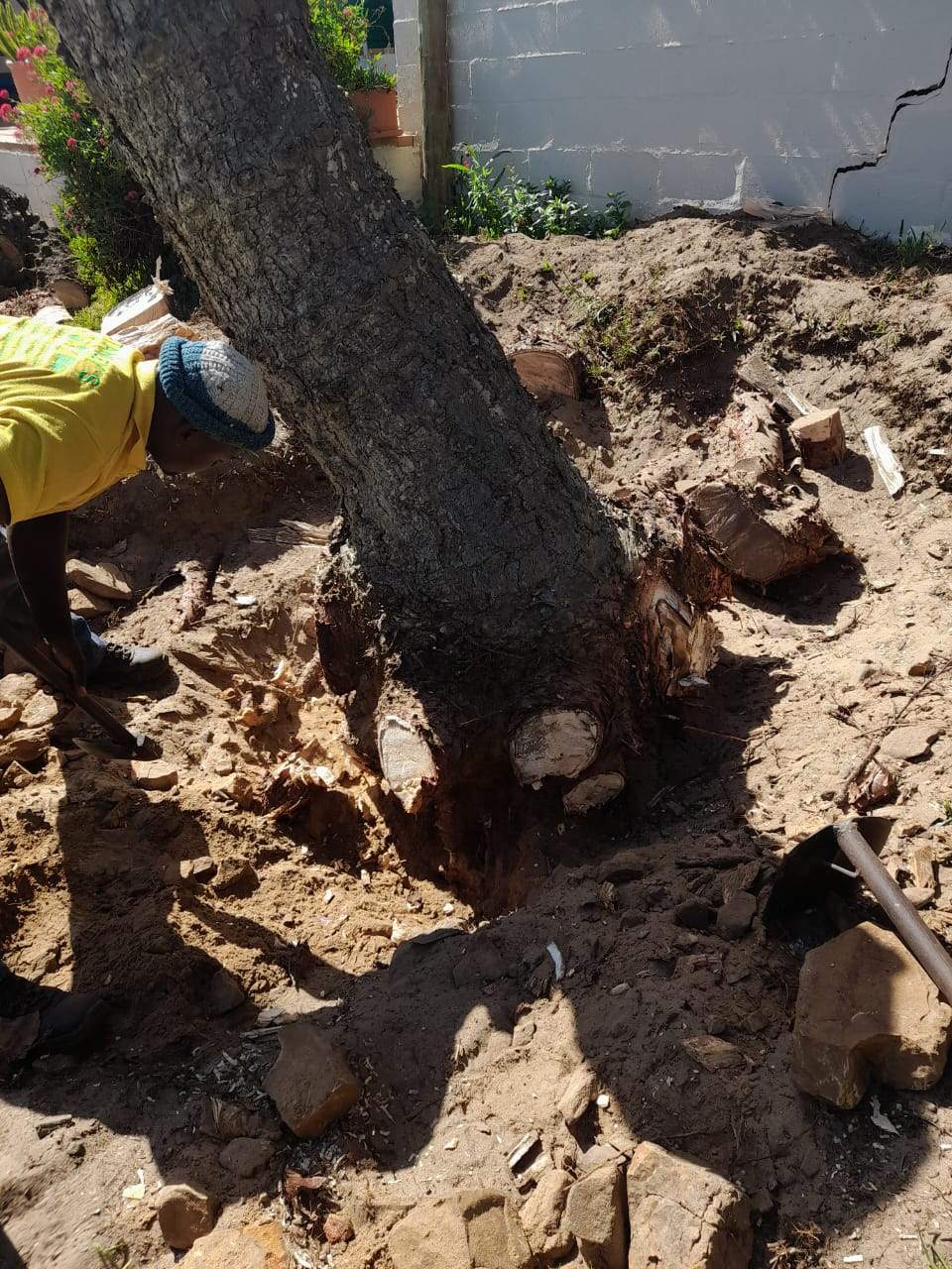 Stumps_121