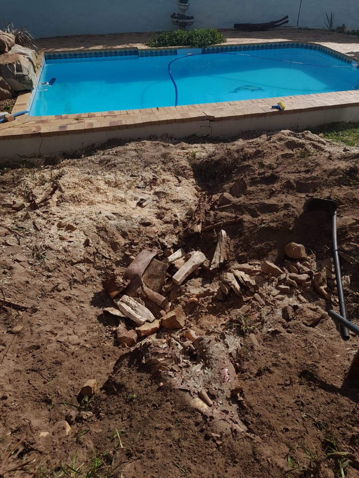 Stumps_123