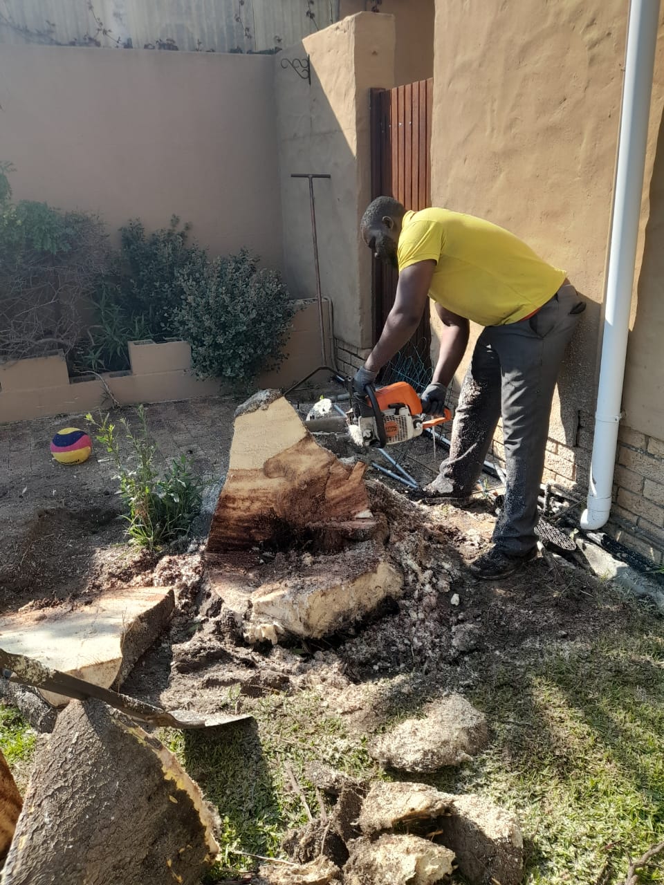 Stumps_124